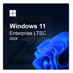 Win 11 IoT Ent LTSC 2024 ESD OEI Value